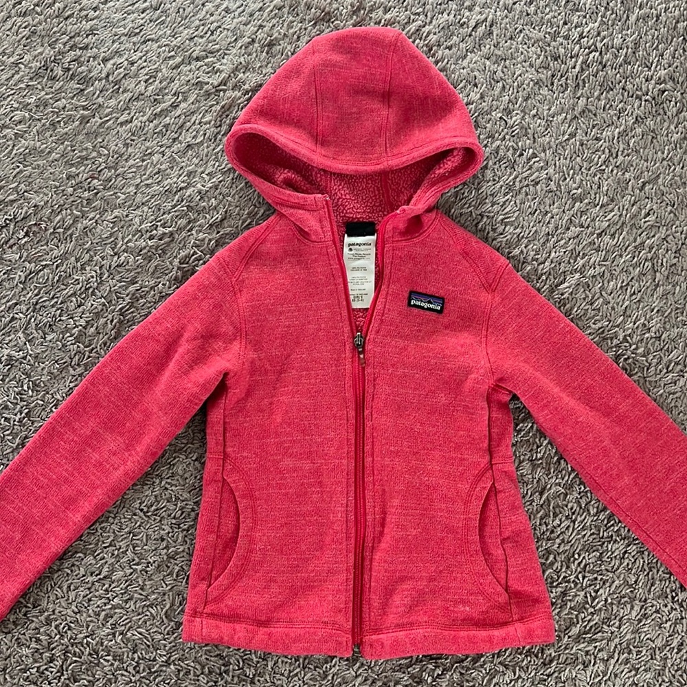 Patagonia Girls' Better Sweater Hoode